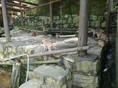 -罗田天堂寨风景区