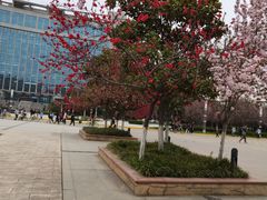 -长安大学(北校区)