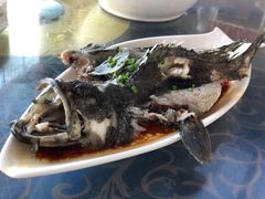 清蒸老虎斑-七鲜渔港美食餐厅(巽寮湾海景店)