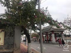 -集美学村