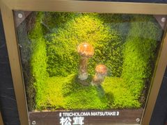 -厚贞日式烤肉(浦东汇智店)