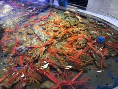 -澜悦港海鲜体验主题餐厅