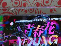 -荷兰花海