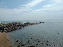 -日照海滨国家森林公园