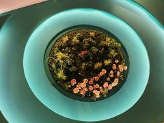 -柠檬树茶餐厅(海雅缤纷城店)