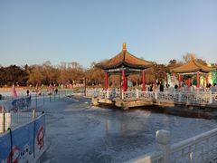 -长春市南湖公园