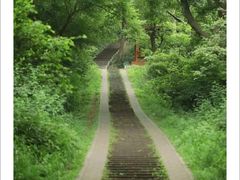 -青龙山国家森林公园