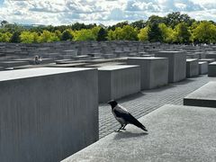 -欧洲被害犹太人纪念碑
