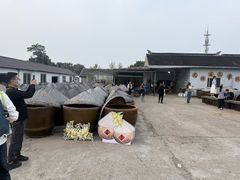 -苏州市吴中区光福窑上花果蜜饯厂