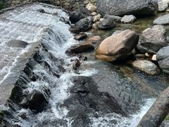 -石台牯牛降景区
