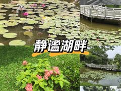 -东莞植物园