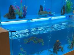 -怡咖啡·自助餐·西安香格里拉