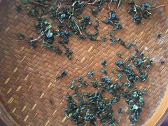 -文雅轩茶叶(锦和越界田林坊店)