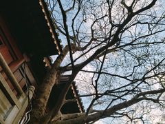 -昭山风景名胜区