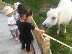 -月儿湾儿童成长中心(密云店)