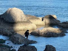 -黑石礁公园