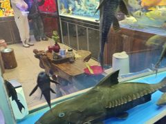 -吴山花鸟城-停车场