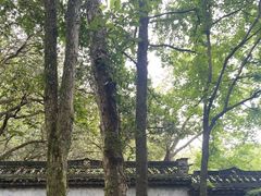 -富春桃源风景区