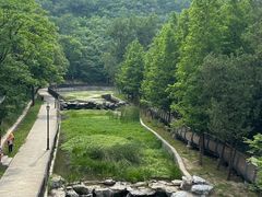 -白水寺森林公园