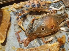 -苏格里岛自助海鲜烤肉(青秀万达店)