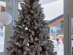 -中旅松花湖滑雪场