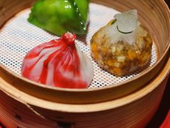 -随堂里