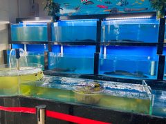 -晋阳饭庄(虎坊桥店)