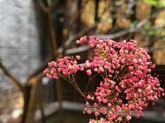 -归觅·西关小姐人文艺术馆(荔枝湾店)