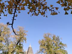 -北京石刻艺术博物馆