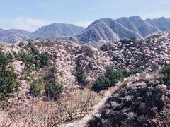 -十三陵水库
