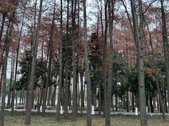 -月湖风景区