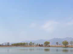 -野鸭湖国家湿地公园