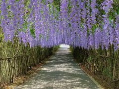 -湖南湘都生态农业园