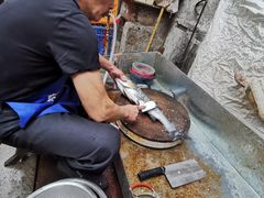 -全乐鱼馆·淳牌有机鱼直营店