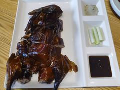 -滇铺子·云南特色菜·第九届野生菌美食节(东风东路c86店)