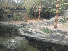 -深圳野生动物园