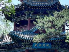 -迎泽公园