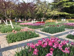 -石家庄市植物园
