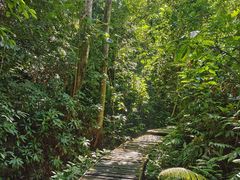 -中国科学院西双版纳热带植物园