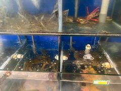 -天天渔港海鲜酒家(石浦玉泉路店)