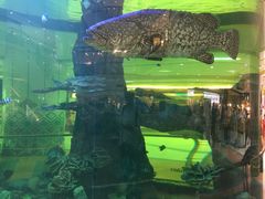 -尚泰清迈机场购物中心