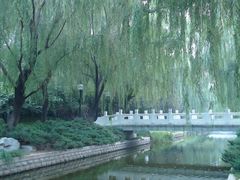 景点-菖蒲河公园