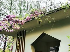 -郑和公园