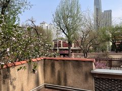 -静园(和平区)