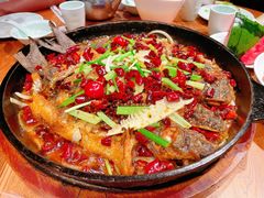 -老板恋上鱼(高新万达店)