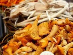 -易门野生菌府·菌海森林(月牙潭公园店)