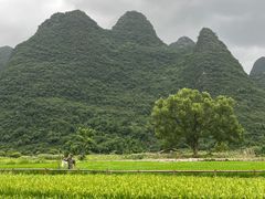 -生态苑农庄(十里画廊遇龙河店)