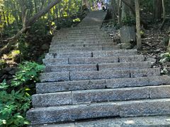 -紫金山山顶公园