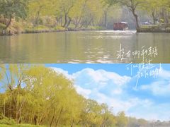 -西溪国家湿地公园