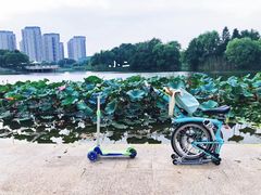 -新江湾城公园